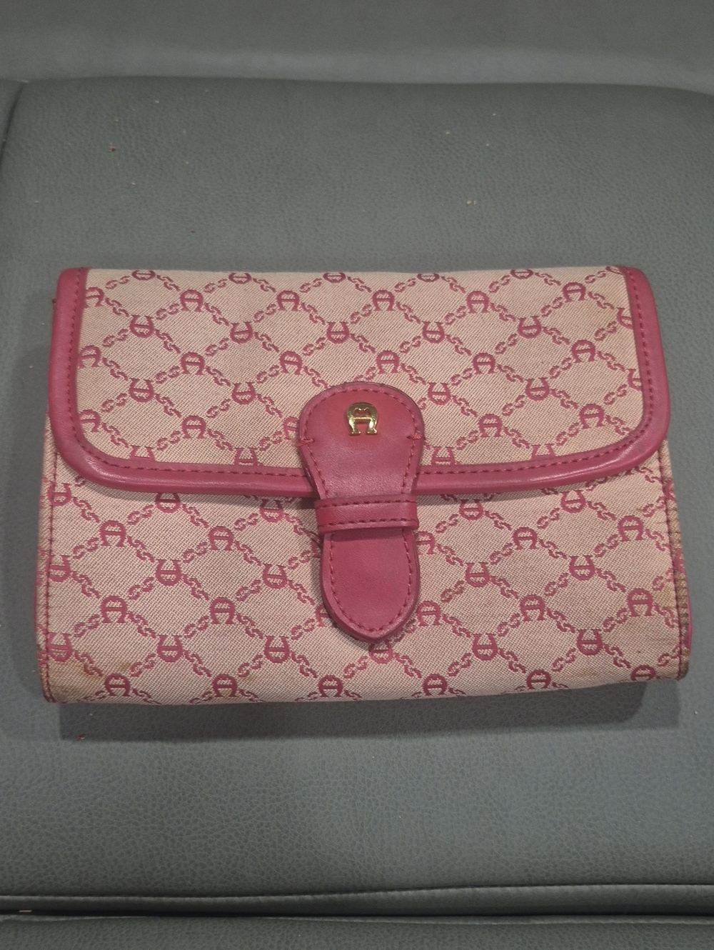 Etienne Aigner Wallet/ Beltbag